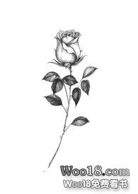 墙有茨 [灵异 NP]墙有茨 [灵异 NP]