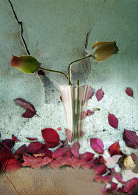 别西卜(BL/主奴/微SM)别西卜(BL/主奴/微SM)